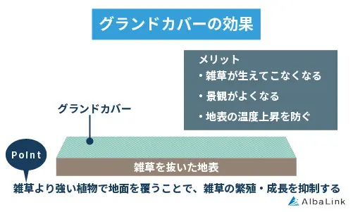 グランドカバーの効果