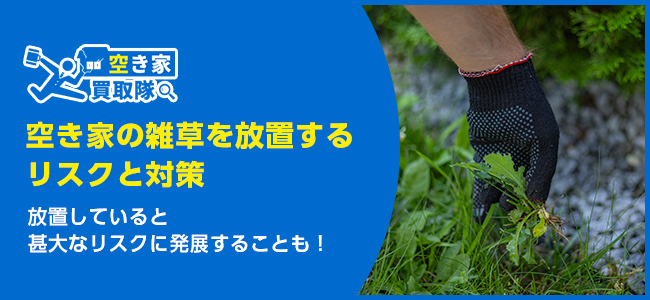 空き家の雑草対策をしないと危険？リスクと対策法5選