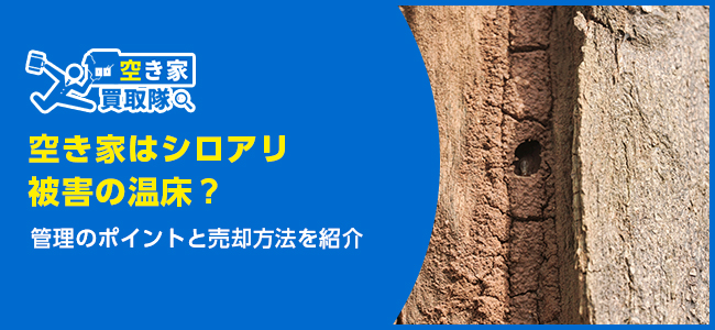 空き家はシロアリ被害の温床？管理のポイントと売却方法を紹介