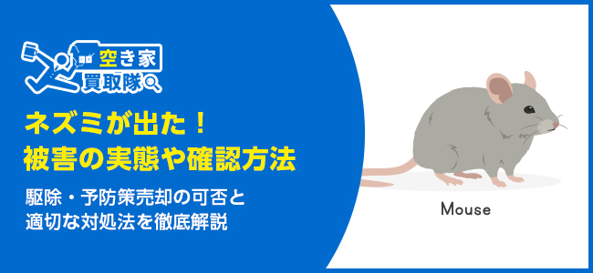 ネズミが出た物件は終わり？売却の可否と適切な対処法を徹底解説