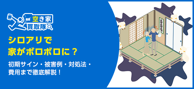 シロアリで家がボロボロに？初期サイン・被害例・対処法・費用まで徹底解説！