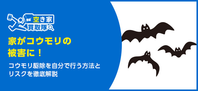 【知らなきゃやばい】コウモリ駆除を自分で行う方法とリスクを徹底解説