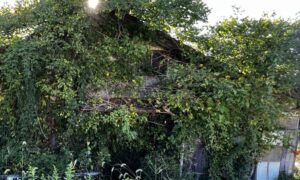 空き家画像_愛知県東海市_買取事例