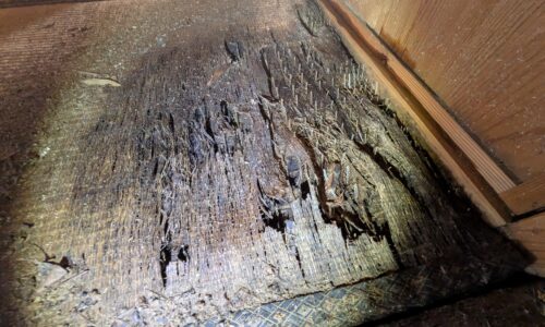 空き家買取事例_熊本県玉名市3