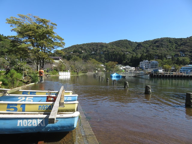 芦ノ湖の冠水